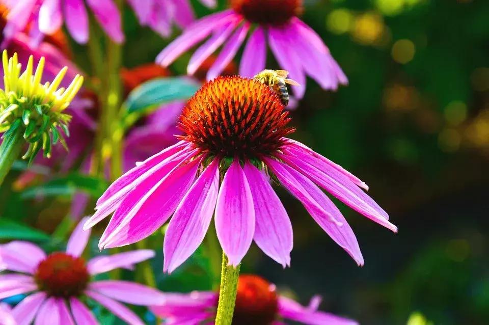 最新校园新闻，探索自然美景之旅，寻找内心的平和宁静