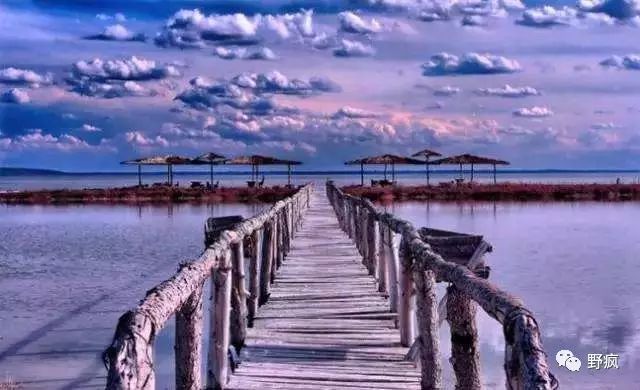 Java最新之旅,探索自然美景,寻觅内心宁静