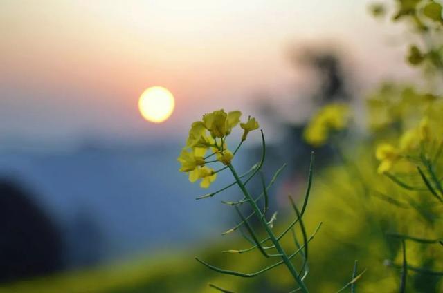 最新趣味题及其解决指南