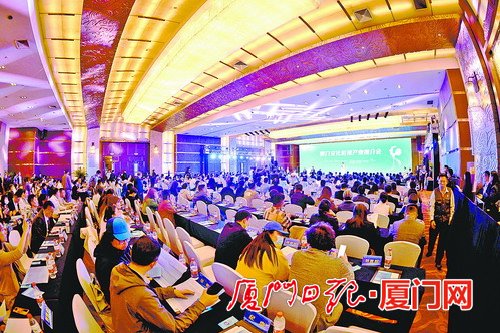 厦门会议最新动态,深度解析其影响与一种观点的分析