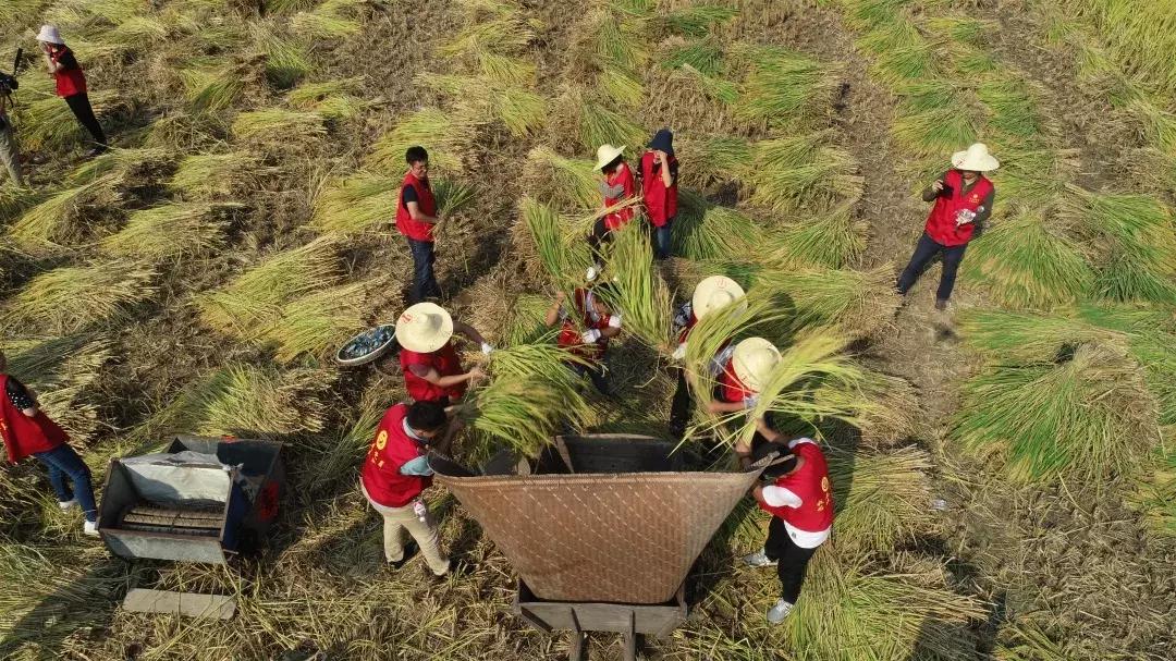 桐庐新篇章,未来规划与温馨家园的蓝图