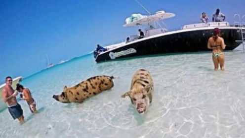 性感海滩,时代印记与永恒魅力之源的展现