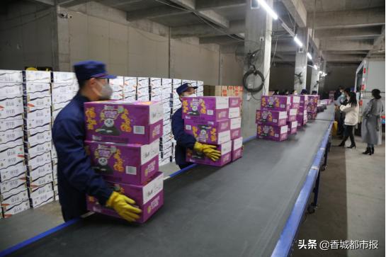 探索前沿科技与生活的融合，助这儿最新动态更新