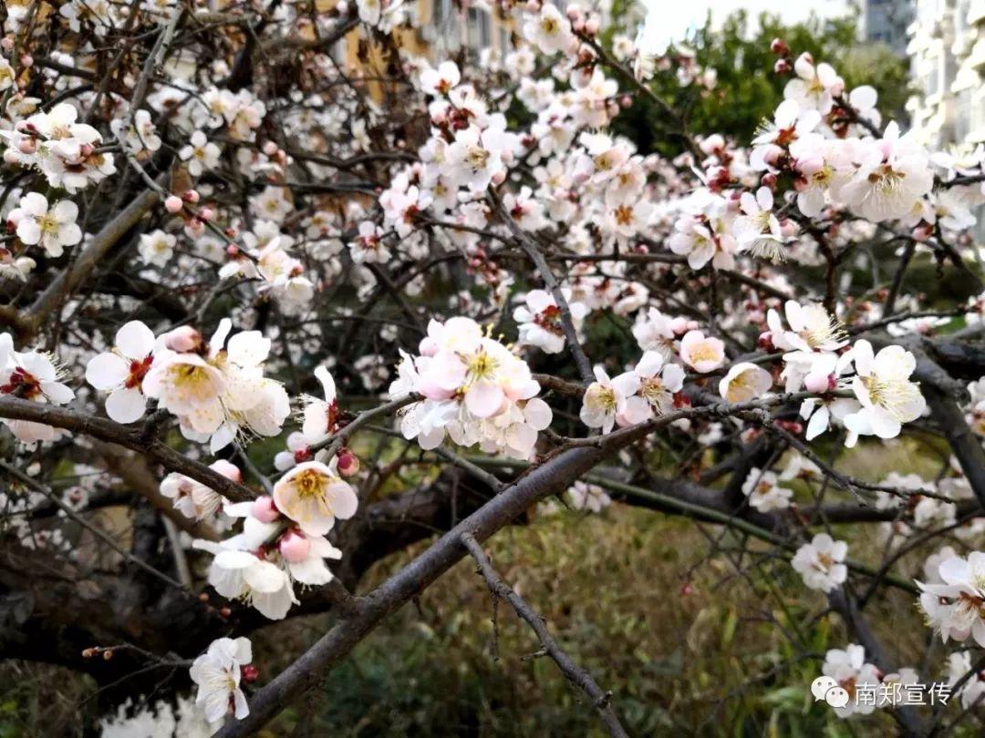 探寻自然之美,铺场萨最新之旅,心灵平和与喜悦的追寻