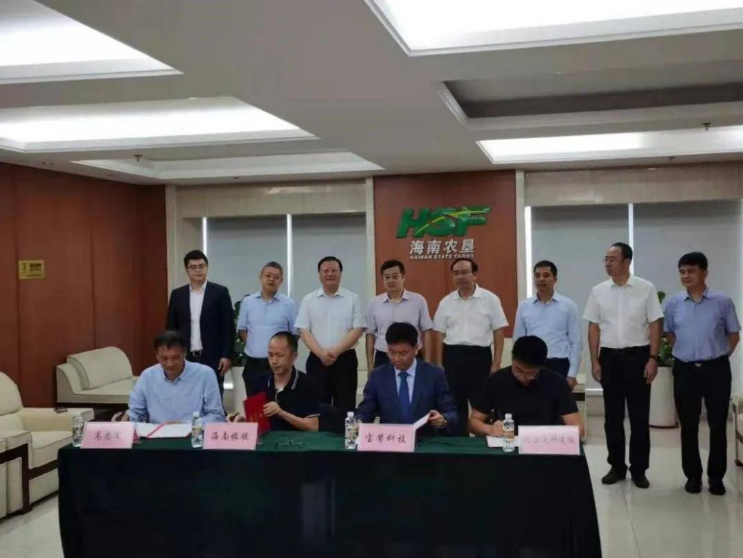 宝馨科技最新进展，先锋力量引领科技创新之路。