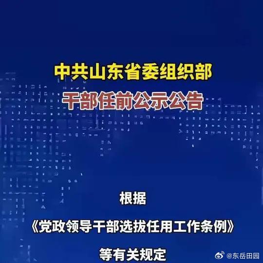 山东干部最新公示，全面解读选拔任用动态及改革进展