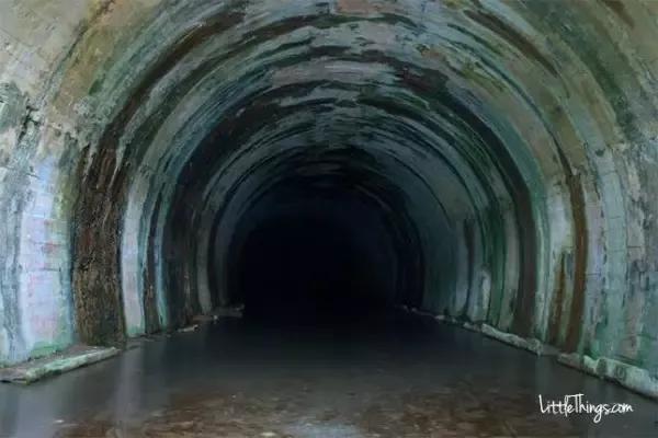 最新倒插讲口,最新倒插讲口，小巷深处的独特风味