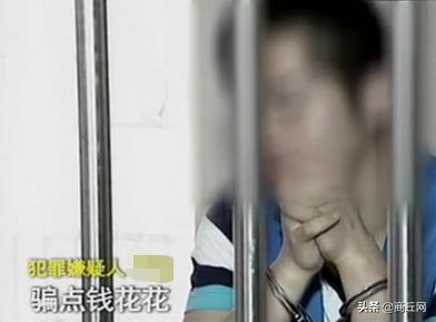 最新行驶证，背景、事件、影响及在当代的地位解析