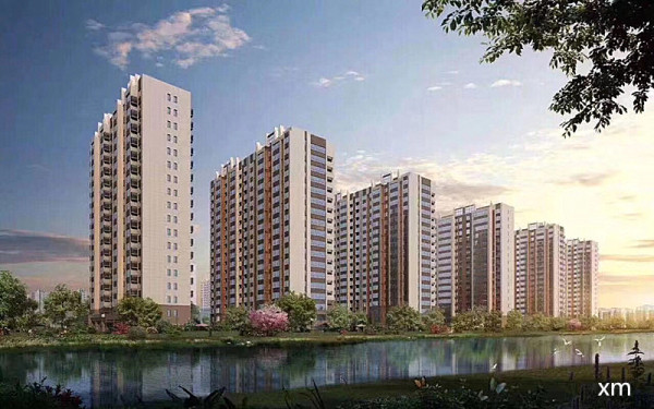 苍南最新楼盘,时代印记与未来展望