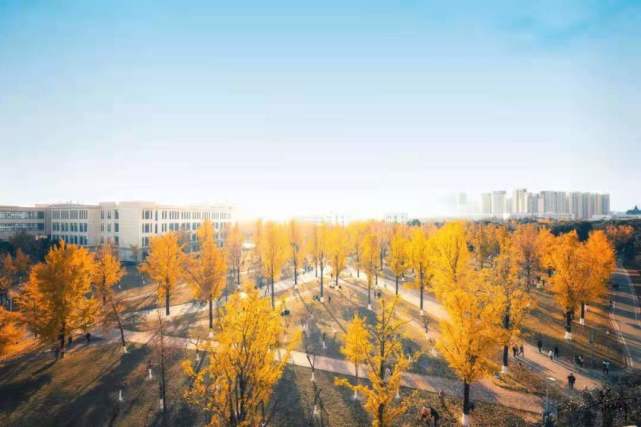 最新大波浪现象的多维解读