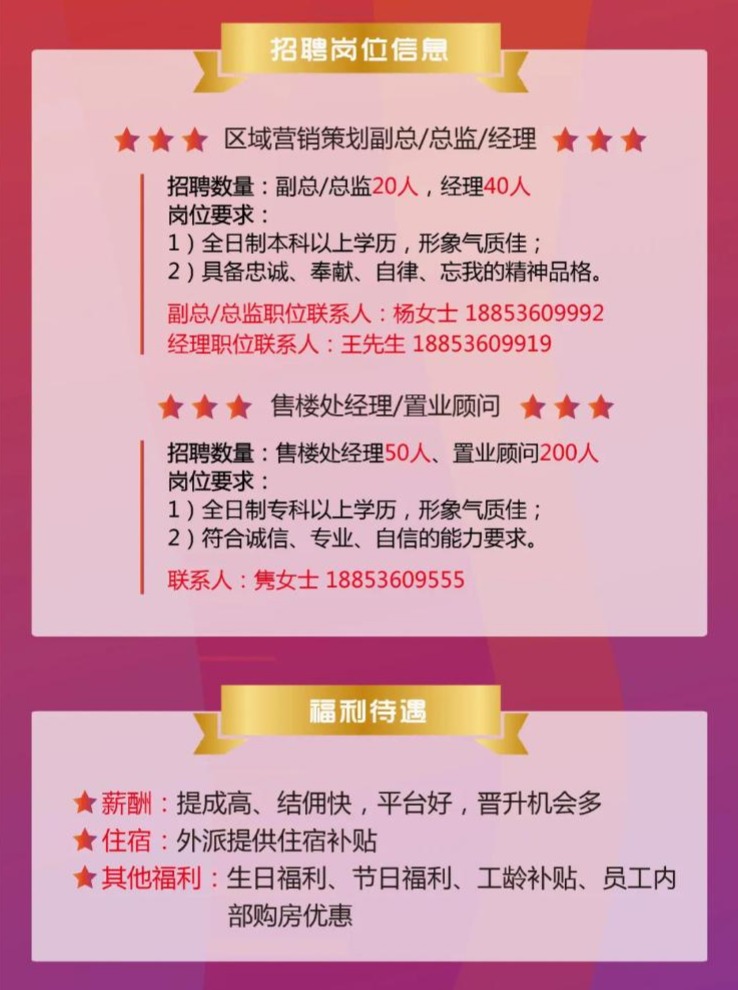 郑州港区最新招聘热潮，职业发展的新天地
