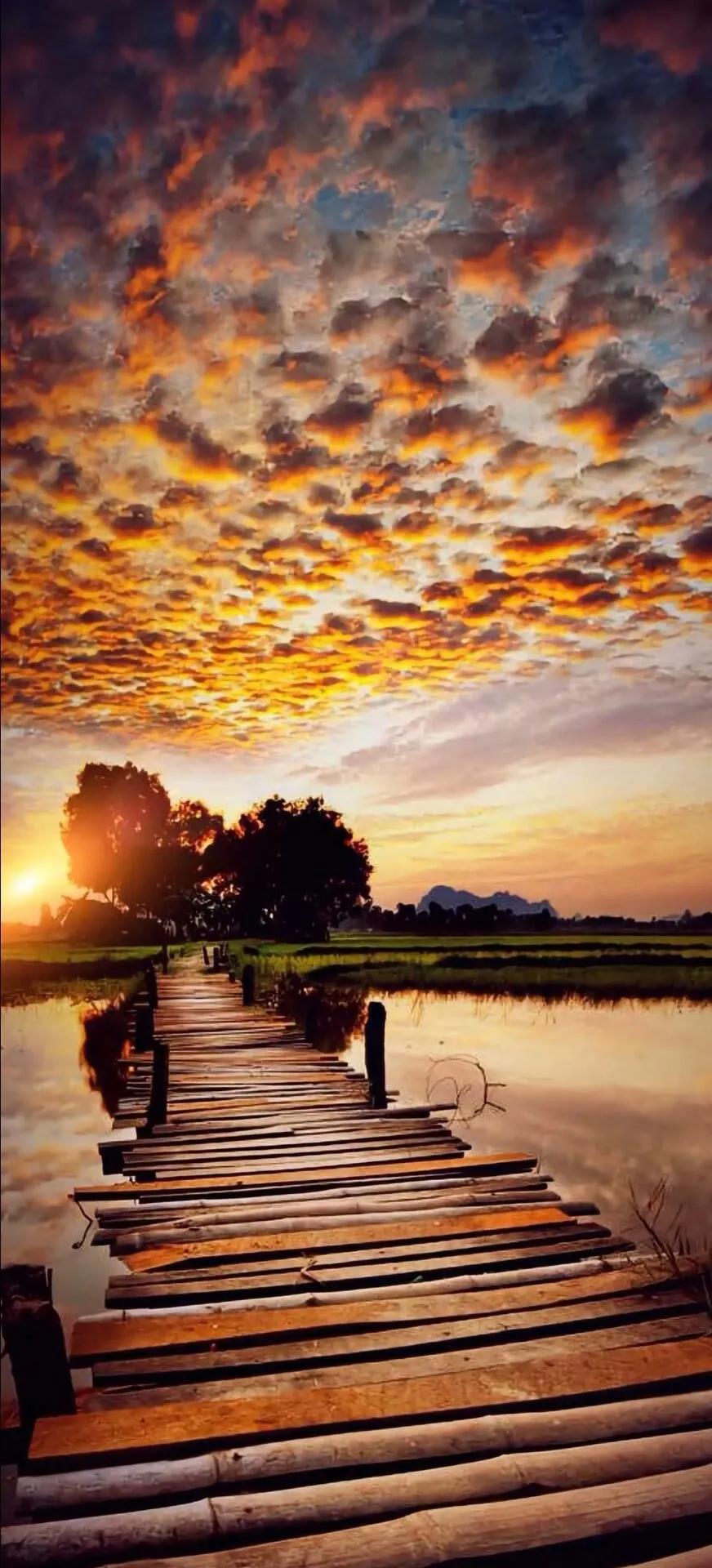 最新网游pc,最新网游PC,探索自然美景的治愈之旅