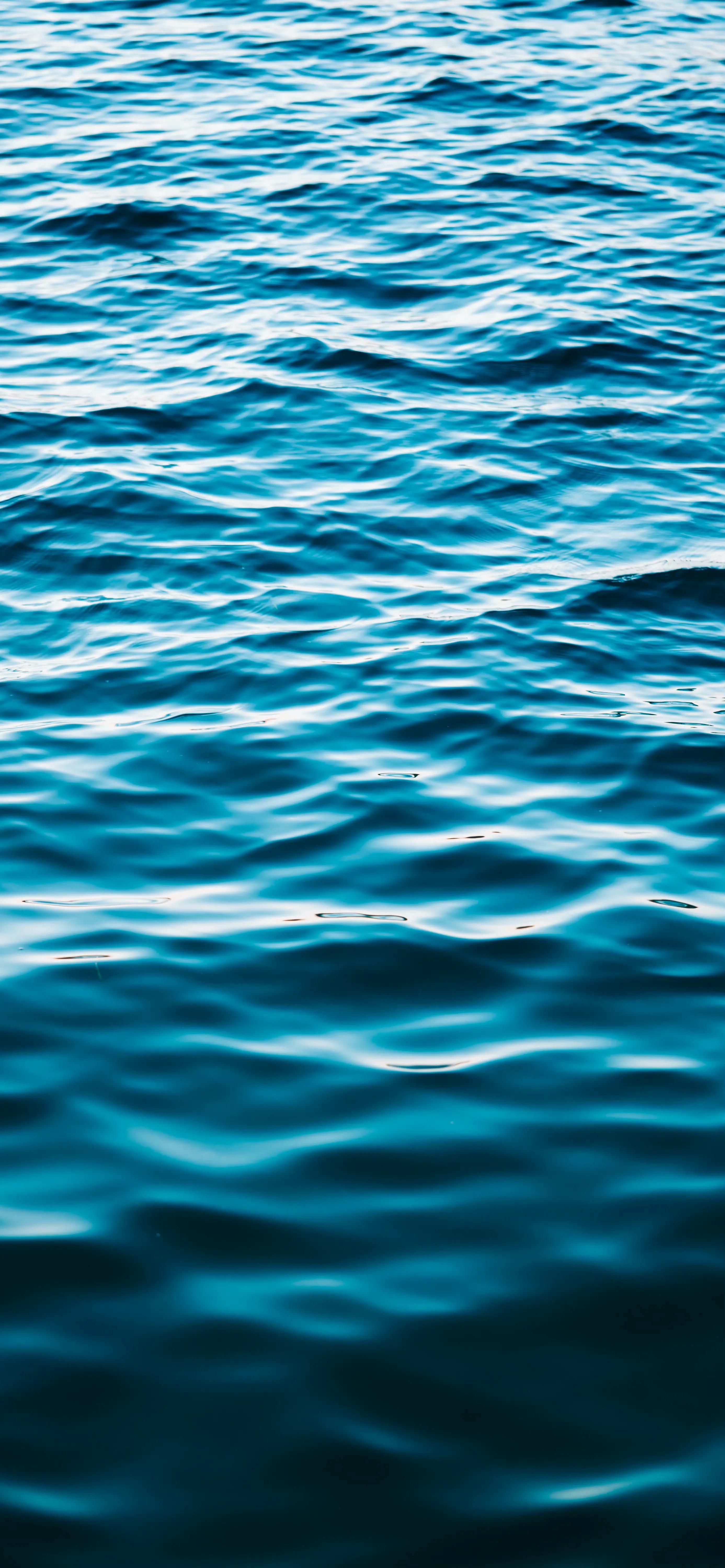 寻找内心平静的旅行