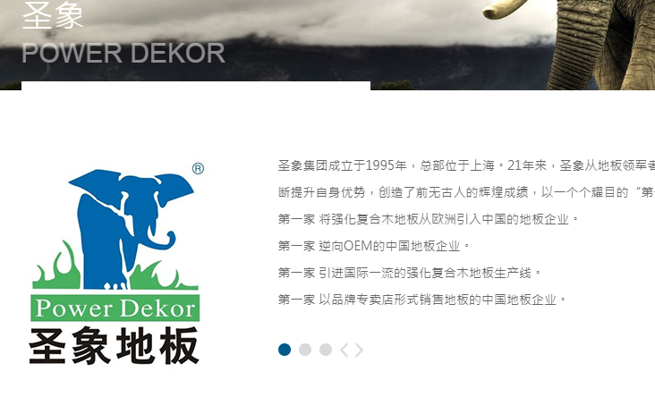 大亚圣象最新公告,大亚圣象最新公告详述——铸就辉煌，展望未来