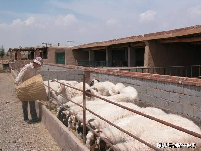 甘肃黑山峡最新动态及观点阐述与分析