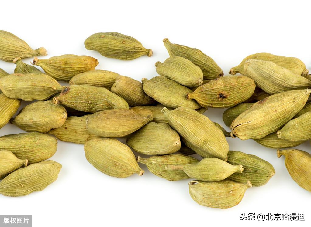 🌟最新姜瘟防治方法揭秘🌟