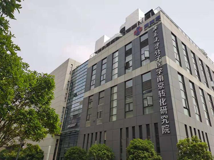 最新封测网页游戏探索,未来游戏之旅的独家体验