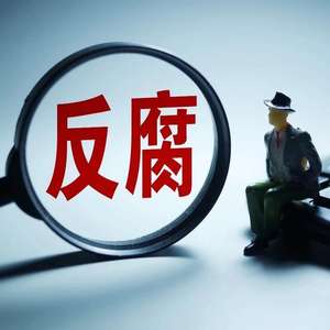 多维视角下的审视，保定最新被查处官员揭秘
