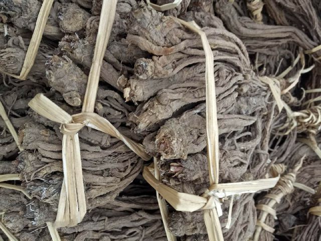 会川当归最新价格及其背后的温情故事揭秘。