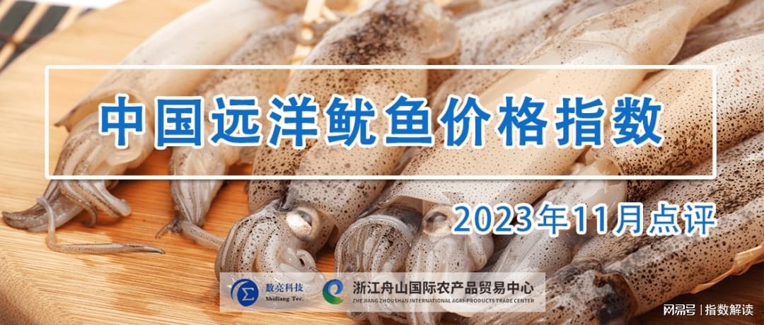 海鲜市场热门商品，鱿鱼最新价格更新