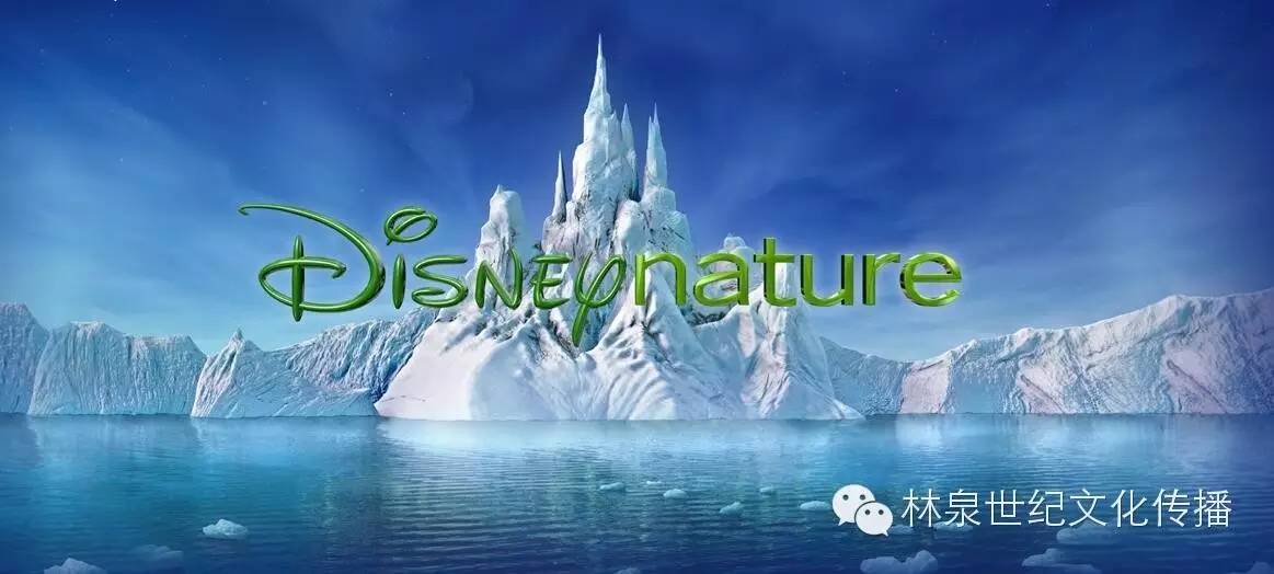 迪士尼最新电影,梦幻之旅探索自然美景,寻找内心的平和宁静