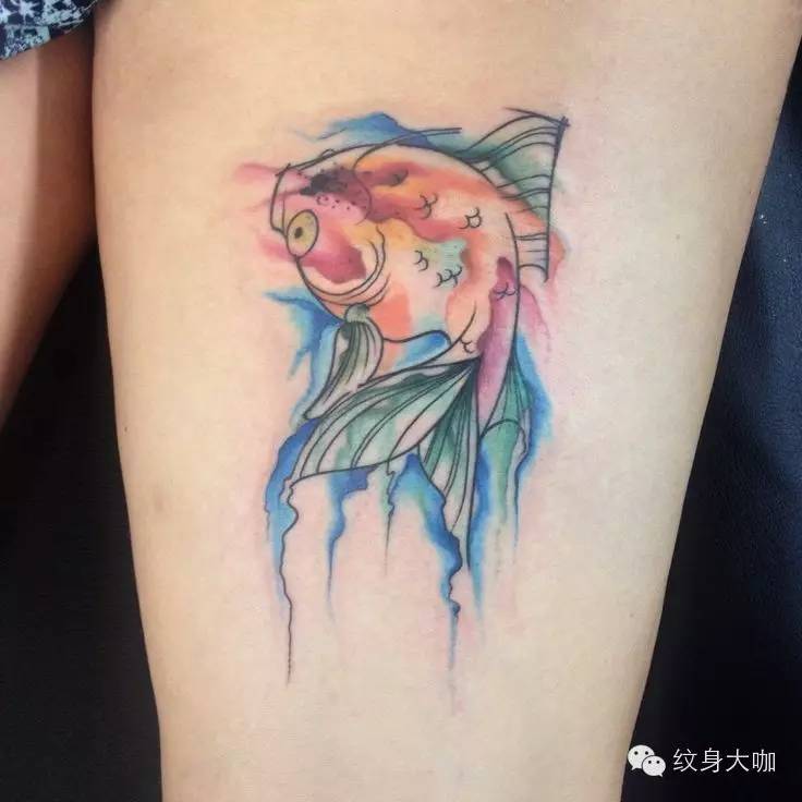 鲤鱼纹身背后的友情与陪伴故事