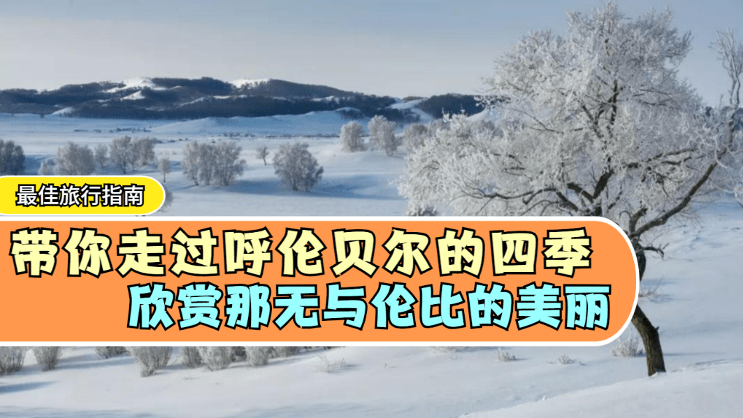 最新伦理下载，心灵之旅，探索自然美景的力量之旅