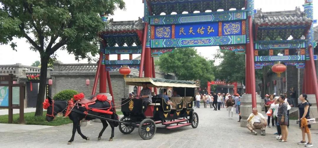 东阿最新新闻，探寻自然怀抱，宁静之旅的心灵之旅