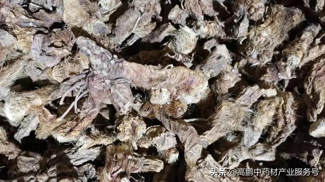 安国知母最新价格指南，了解最新价格信息