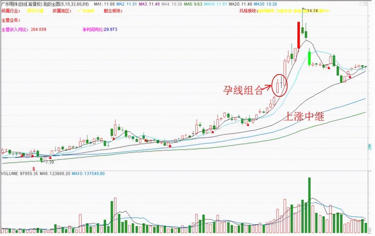 阅读攻略/步骤指南