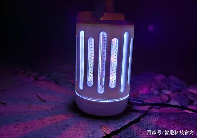 最新灭蚊灯,小巷中的秘密宝藏守护者