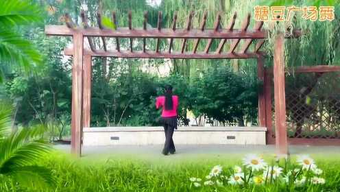 最新广场舞热潮,与自然美景共舞,追寻内心平和之道