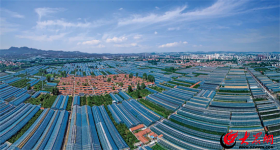 临朐最新贴吧，探索当地新鲜事的平台