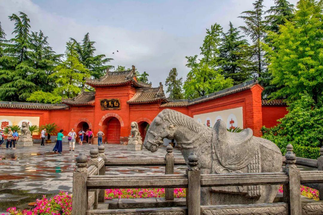 最新版QQBug探秘之旅，自然美景中寻找内心平和与宁静