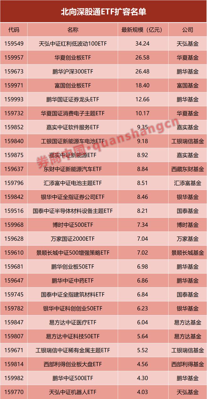 某某观点深入探析