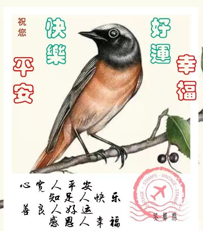 音符中的友情与家的温暖，最新唯美音乐图文集萃