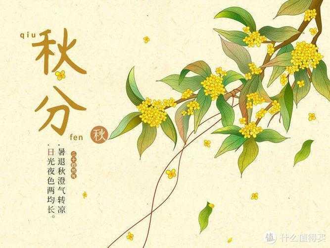 恍若晨曦最新小说,恍若晨曦最新小说,探索自然美景的旅行,寻找内心的平和