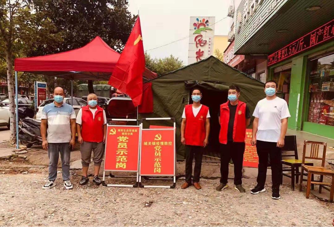 桐柏县域发展新动态与社会热点事件最新报道