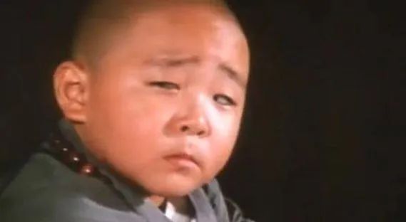 郝劭文电影之旅,探寻自然美景,寻觅内心宁静与平和