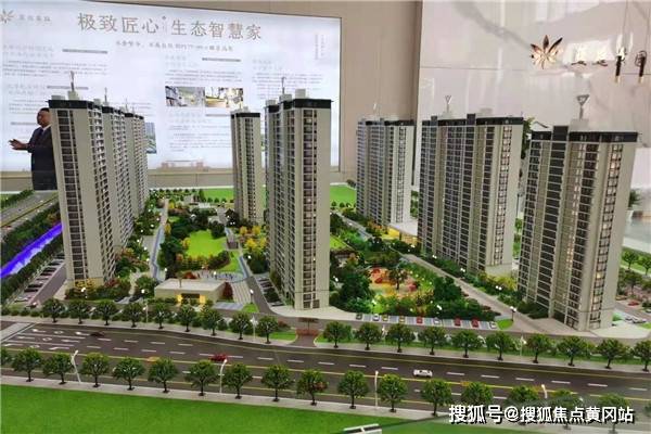 最新杨木收购信息解析，全面解读市场趋势与行情分析