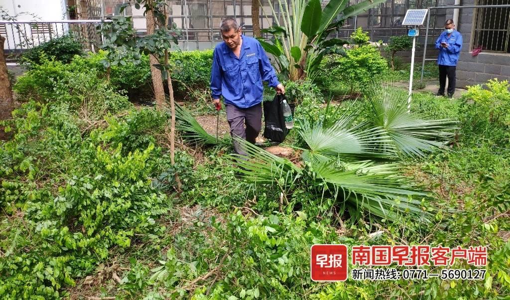 最新笼蛇技巧引领新时代风潮,高科技重塑生活,笼蛇技巧成焦点