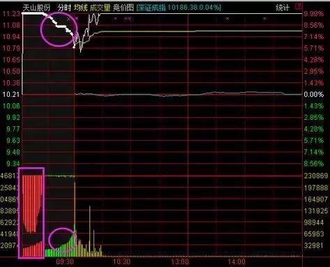 谷歌最新股价,与自然美景的心灵之旅,探寻内心的平和之道