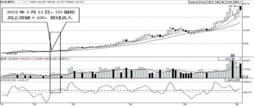 浙江富润最新行情深度解析
