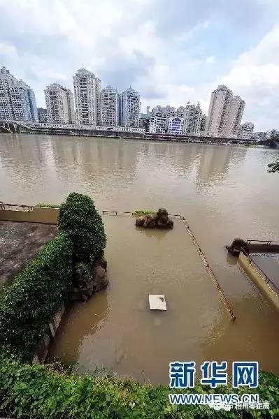 梧州洪水2017最新纪实，洪水肆虐，城市抗击灾情实录