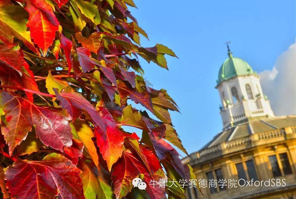 牛津公馆最新动态与小巷风情探秘