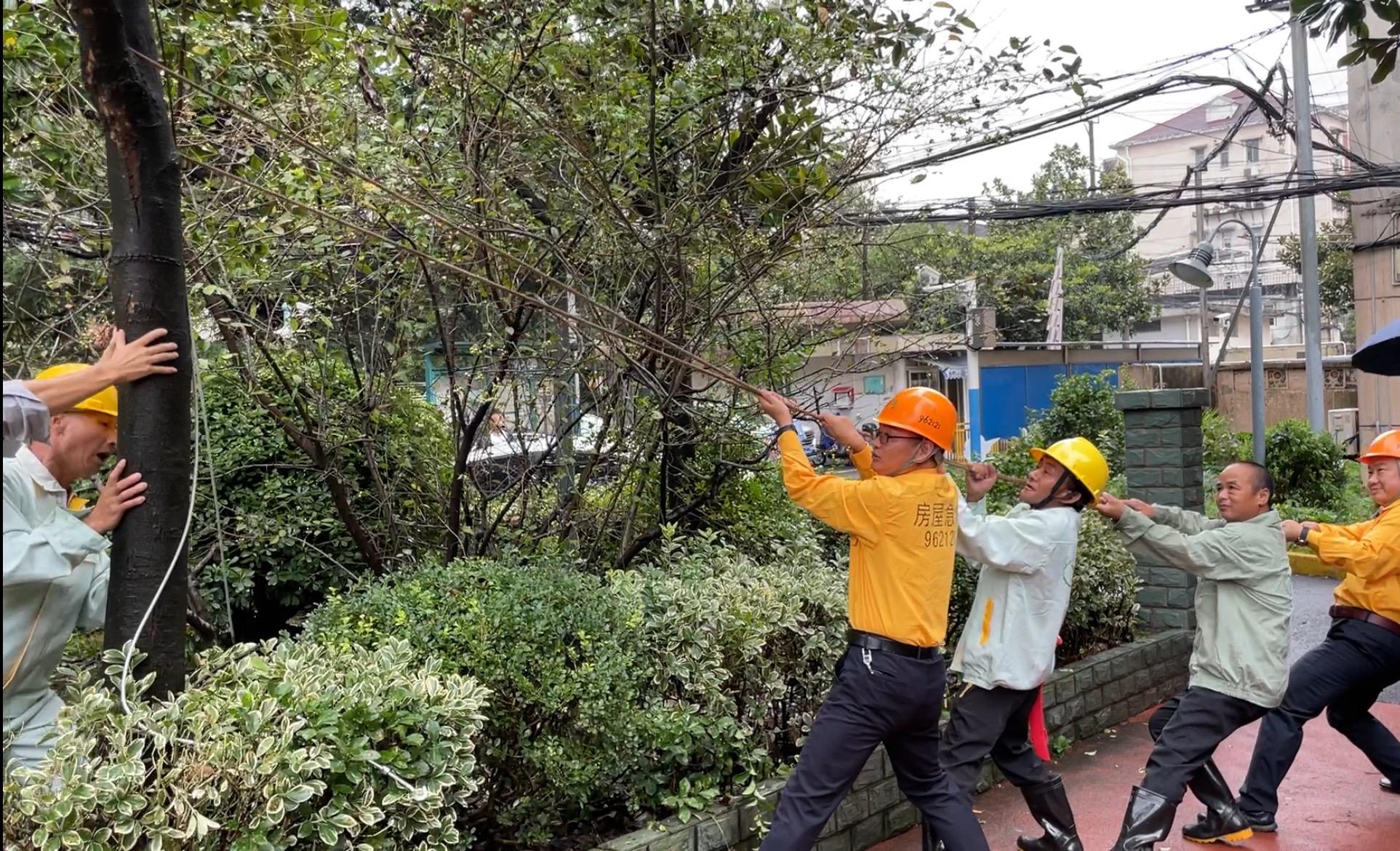 延吉台风最新报道，探索美景的奇妙旅程，与自然的约会更新讯息