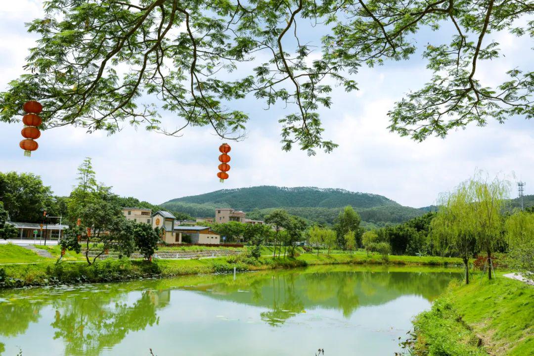 黄埔区自然美景探索之旅，最新发现之旅