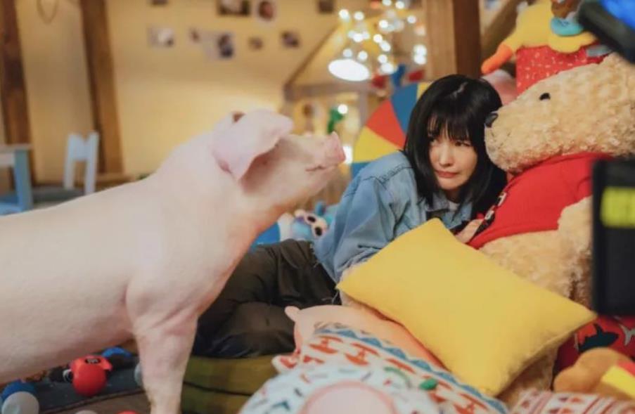 搞笑猫狗最新,搞笑猫狗最新,萌宠界的欢乐源泉