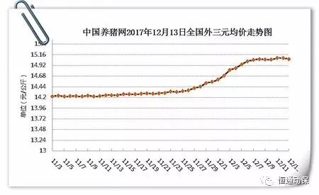 静宁最新猪价详解，查询指南与理解攻略