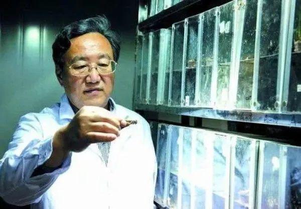 俄罗斯蝗虫危机与寻找内心平静的自然之旅